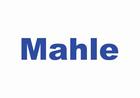 Titulo_Mahle